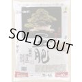 マルタ玉肥・10kg(大粒)