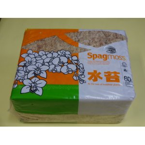 画像1: ニュージーランド産水苔(1kg)