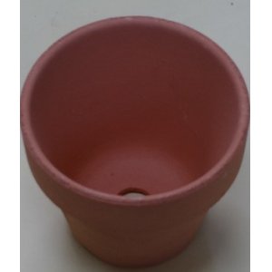 画像4: 素焼き鉢(深/2.5号/120入り)