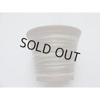 ハケメソリ型エビネ鉢