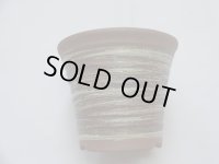 ハケメソリ型エビネ鉢