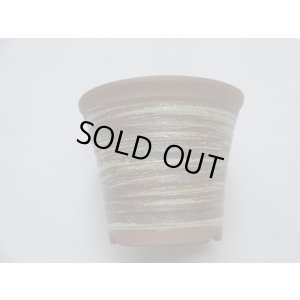 画像1: ハケメソリ型エビネ鉢