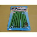 いんげん ケンタッキーカンサス