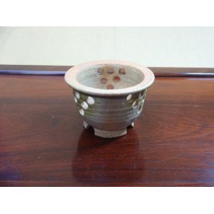 画像1: 古信楽スカシ富貴蘭鉢