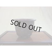 イラボ松皮観音竹鉢 7号
