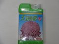 大菊液肥-N 1kg(国華園)