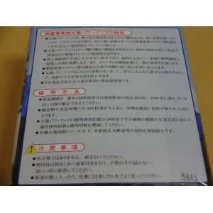 画像2: 大菊パワーアップ 1kg(国華園)