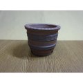 伝市鉢 上木鉢 3.5号