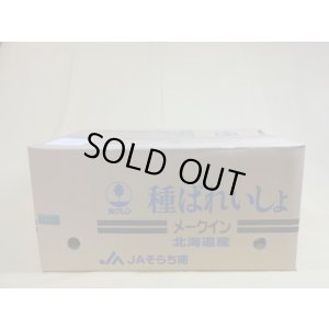 画像1: 種芋 メークイン