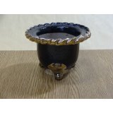 フチ金富貴蘭鉢 4号