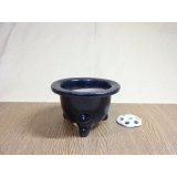 楽風富貴蘭鉢 4号(鉢底サナ付き)