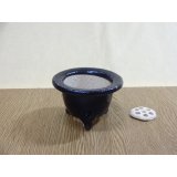 楽風富貴蘭鉢 3号(鉢底サナ付き)