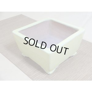 画像3: 4号 正角雲足・黄(一弘)