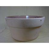 12号 メダカ睡蓮鉢(ゴマ)