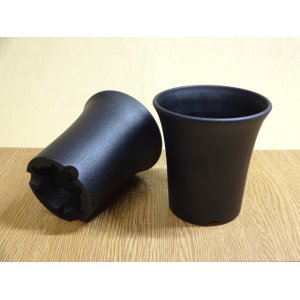 画像1: ミニラン鉢 3.5号