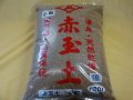 赤玉土 小粒(2L)