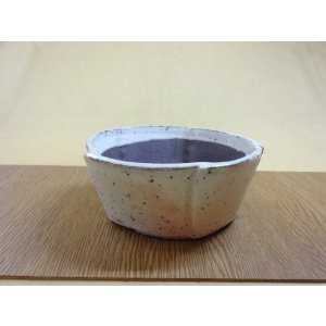 画像3: 5枚合せ鉢/4.5号/粉引