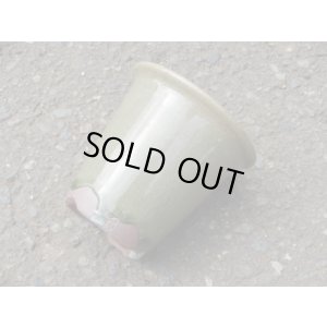 画像4: 伝市鉢 型ラン鉢天然土灰釉3号(1)