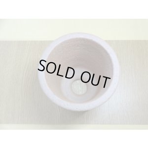 画像2: 伝市鉢 モミ入り シャジン鉢4号