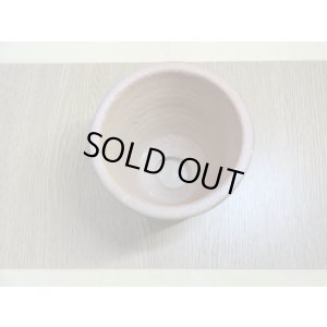 画像4: 伝市鉢 のぼり窯 シャジン鉢3.5号(1)