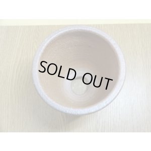 画像4: 伝市鉢 のぼり窯 シャジン鉢3.5号(2)