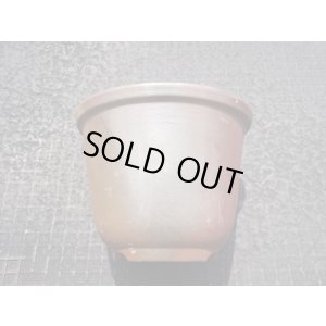 画像3: 伝市鉢 のぼり窯丸型5号(4)