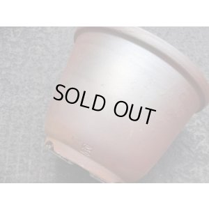 画像6: 伝市鉢 のぼり窯丸型5号(7)