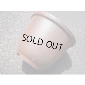 画像6: 伝市鉢 のぼり窯丸型5号(4)