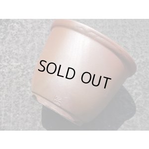 画像6: 伝市鉢 のぼり窯丸型4号(6)