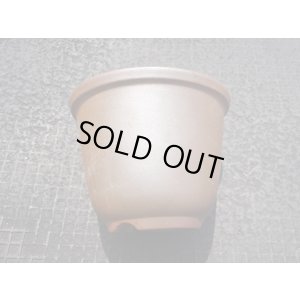 画像3: 伝市鉢 のぼり窯丸型5号(5)