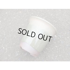 画像3: 伝市鉢 型ラン鉢天然土灰釉3.5号(5)