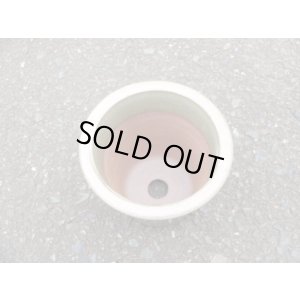 画像4: 伝市鉢 型ラン鉢天然土灰釉3.5号(5)