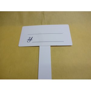 画像2: T型プライスカード(大)