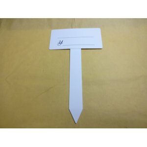 画像1: T型プライスカード(大)