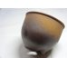 画像3: 伝市鉢 のぼり窯コウロ型4号(9)