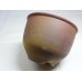 画像3: 伝市鉢 のぼり窯コウロ型5号(4)