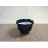 岩松鉢 3.5号