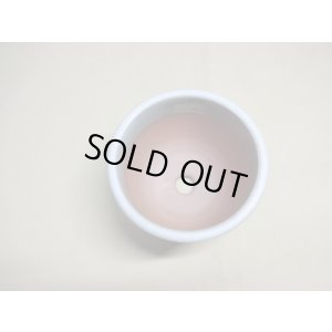 画像4: 伝市鉢 コウロ型天然土灰釉3.5号(2)