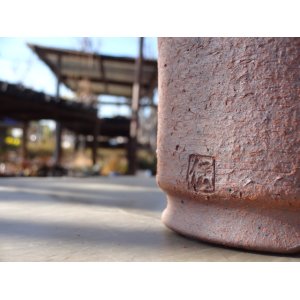 画像4: 伝市鉢 モミ入り シャジン鉢3.5号