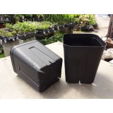 プレステラ深鉢 180型(黒/100入)