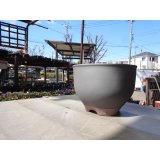 伝市鉢 コウロ型黒化粧6号