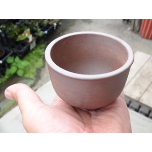 画像5: 伝市鉢 コウロ型2.5号