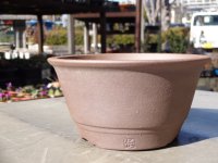 伝市鉢 丸一型4.5号