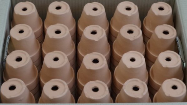 画像3: 素焼き鉢(深/3号/120入り) (3)