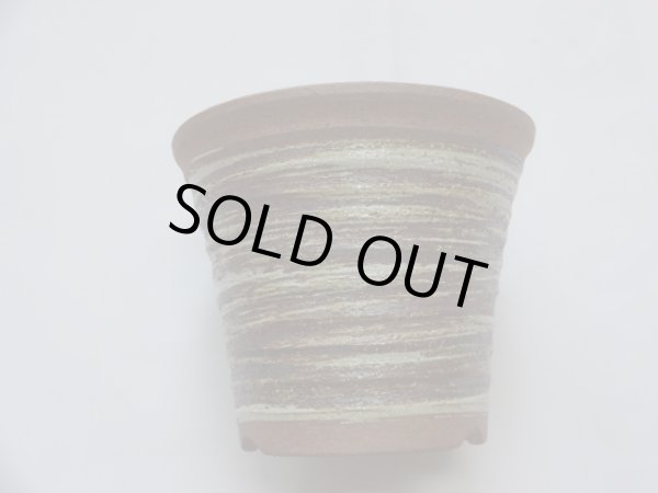 画像1: ハケメソリ型エビネ鉢 (1)