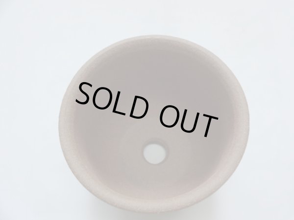 画像2: ハケメエビネ鉢 (2)