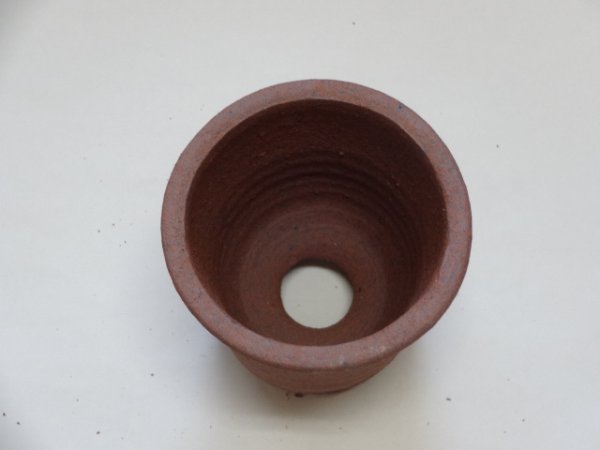 画像2: 伝市鉢 シャジン鉢 (2)