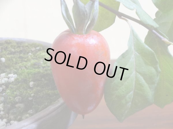 画像2: ローヤ柿(紅大福) (2)