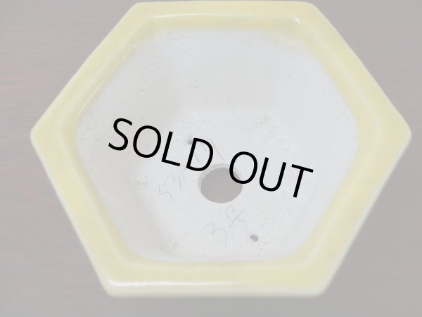 画像2: 3号 六角・黄(柴勝) (2)