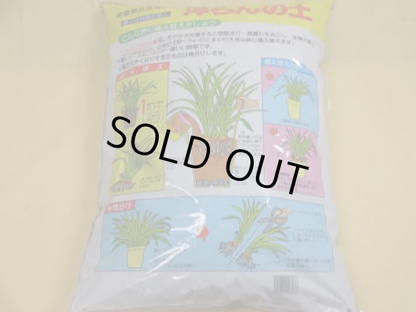 画像2: 洋ランの土(15ℓ) (2)